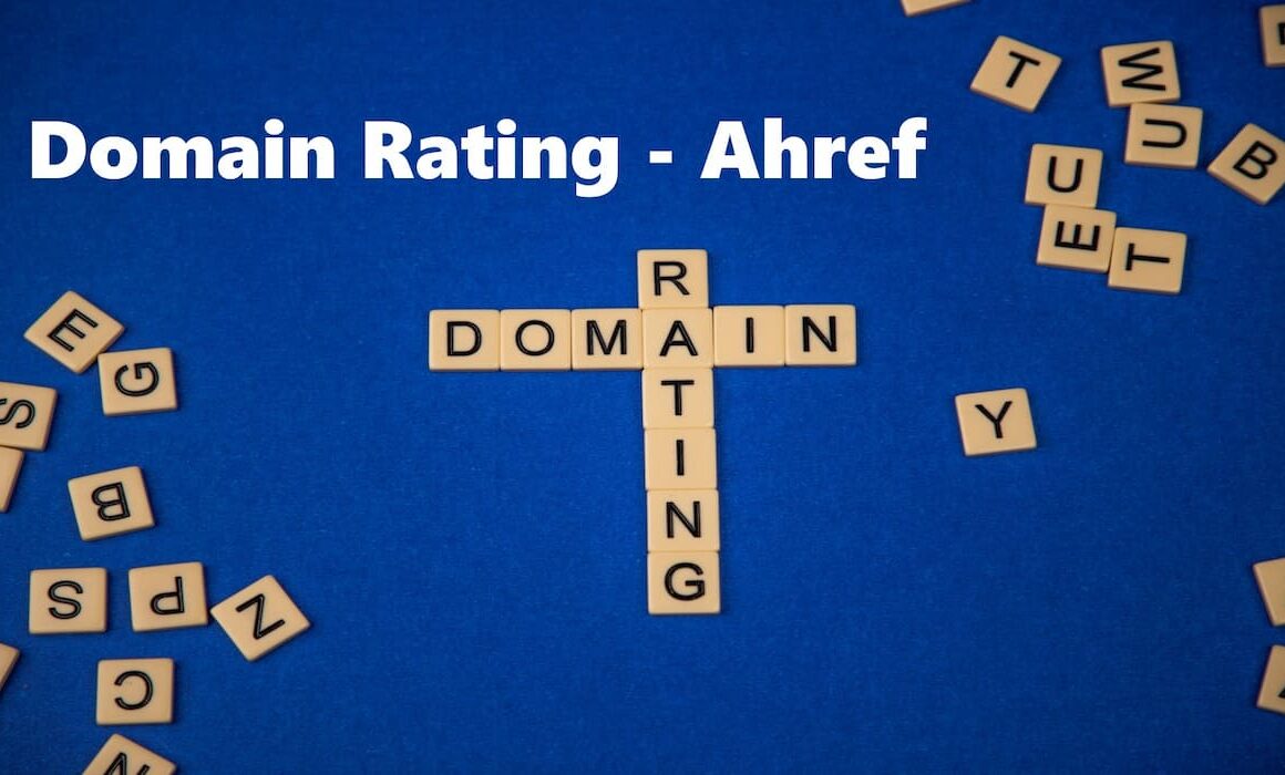 Guest - Domain Rating - What is it